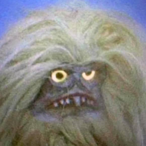 Meet your Posher, Gillian - Picture 1 of 1